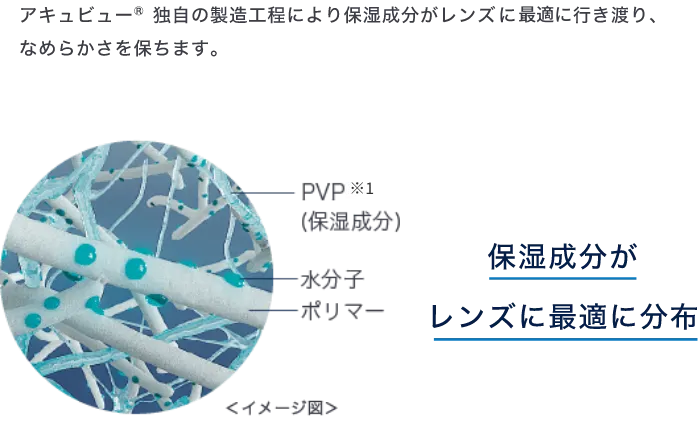 PVP（保湿成分）、水分子、ポリマー